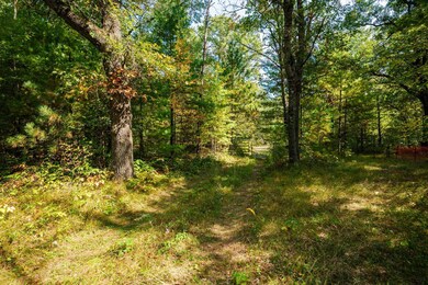 Lot 0 Lonesome Rd, Dexter, WI 54495 - photo 7