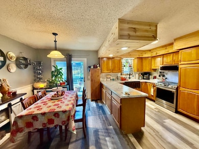 147 S 7th St NE, Cedar Springs, MI 49319 - photo 4