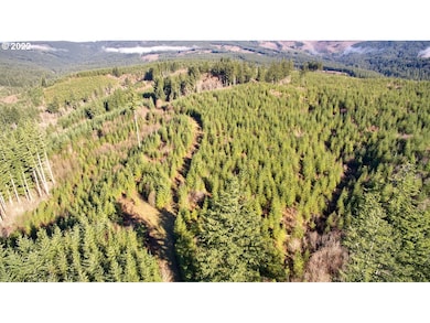 3 NE Jones Creek Rd, Camas, WA 98607 - photo 2