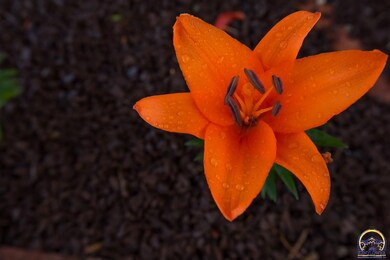 208 E 1st St, Hoyt, KS 66440 - photo 2