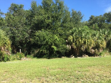 5375 Freedom Ln, Merritt Island, FL 32952 - photo 4