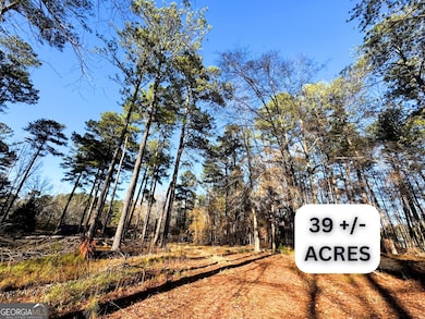 1930 Locust Grove Rd, Griffin, GA 30223 - photo 2