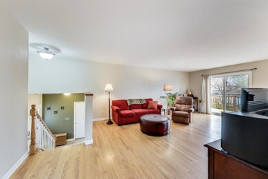 320 Rowan Ct, Naperville, IL 60540 - photo 6