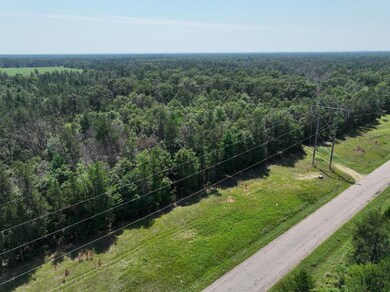 4.98 Ac 23rd St, Necedah, WI 54646 - photo 4