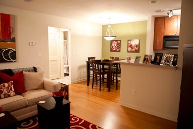 Trivette condo-6