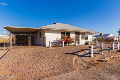 0003-Cactus_Wren_3[1]