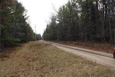 0 Kelm Way unit 314191, Grayling, MI 49738 - photo 5