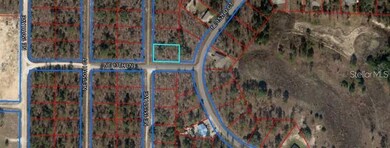 0 NE 151 Ave unit MFRO6179704, Williston, FL 32696 - photo 4