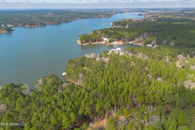 Lot 13-A Deep Water Point, Lumberton, MS 39455 - photo 4
