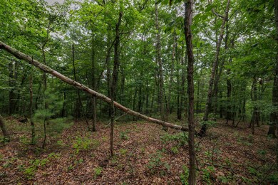 0 Tower Mountain Ln unit 666341, Mount Jackson, VA 22842 - photo 3