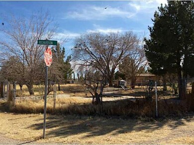 666 Richardson Rd, El Paso, TX 79927 - photo 3