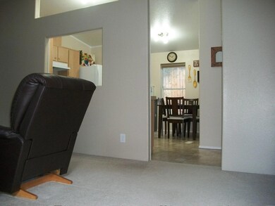 VIEW COMING THROUGH FRONT DOOR