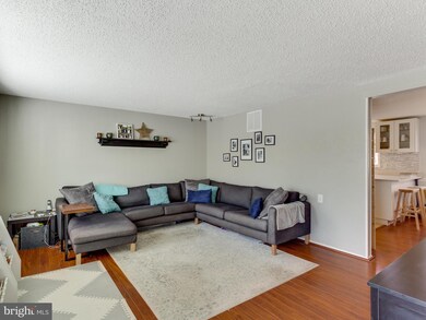 8665 Maple Glen Ct, Springfield, VA 22153 - photo 5