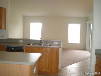 Kitchen and family room