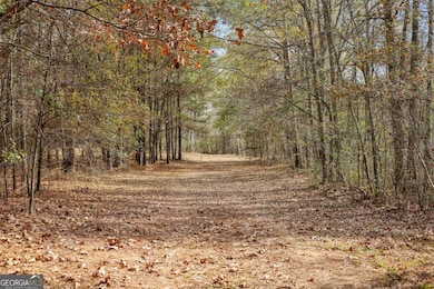 88 Paul Smith Rd unit 9, Covington, GA 30014 - photo 7