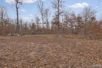 0 Private Lane 405 unit MIS25073319, Salem, MO 65560 - photo 6