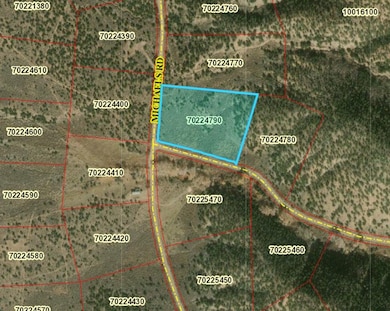 0 Michaels Rd unit 25558753, Fort Garland, CO 81133 - photo 6