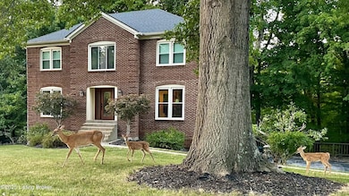 Mama and baby deer