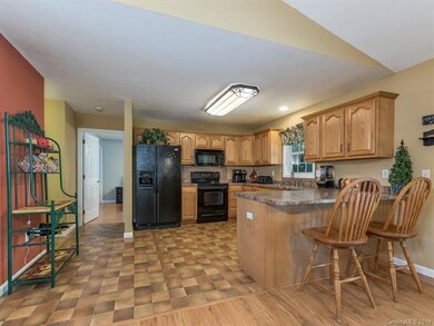 127 Chestnut Ln, Hendersonville, NC 28792 - photo 6