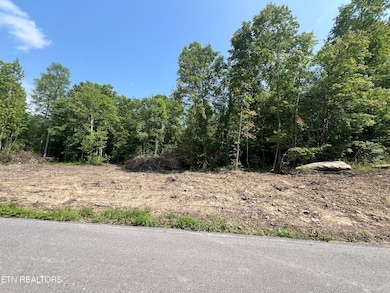 0 Ditney Trail unit 3 1303567, Pioneer, TN 37847 - photo 5