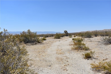 1 170th St W and S O Irone Ave, Rosamond, CA 93560 - photo 5