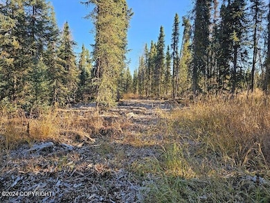 L3 Erlwein Cir, Sterling, AK 99669 - photo 4