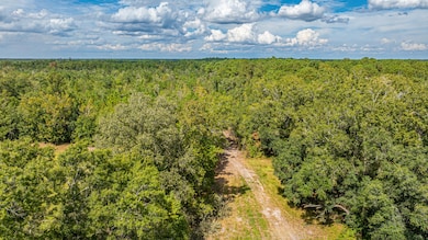 0 Yaremich Rd, Moncks Corner, SC 29461 - photo 6