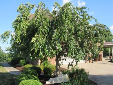 101 Muir Field Dr, Nicholasville, KY 40356 - photo 5