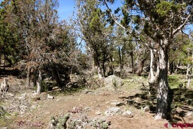 0 NE Ginters Grove Ln unit 703702, Cedaredge, CO 81413 - photo 6