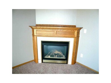 Fireplace.