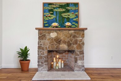 501 W Peach St, Fredericksburg, TX 78624 - photo 5