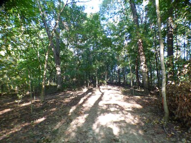 0 Persimmon Ln unit 201945141, Loogootee, IN 47553 - photo 5