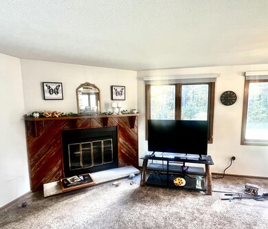 7481 Michigan 37, Baldwin, MI 49304 - photo 4