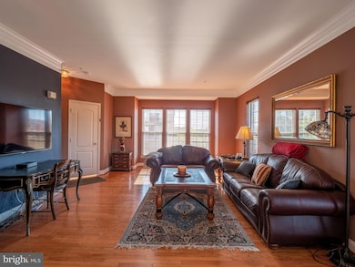 23417 Rainbow Arch Dr, Clarksburg, MD 20871 - photo 4