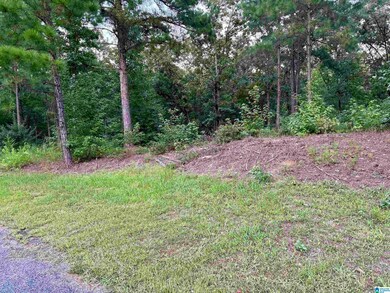 0 Stillwaters Trail unit 160 21393378, Sylacauga, AL 35151 - photo 3