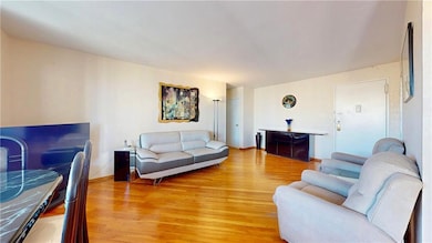 Trump Village unit 15H, Brooklyn, NY 11224 - photo 2