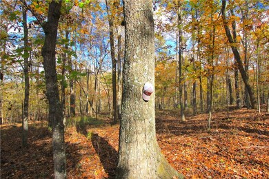 0 Mc 5430 unit 1166377, Crosses, AR 72727 - photo 6