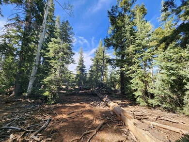 Several cabin sites