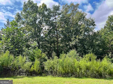 0 Northshore Dr unit 10640788, Cleveland, GA 30528 - photo 5