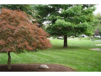 Yard/Garden