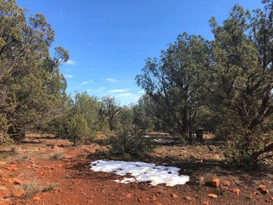 41 Bullock Rd, Ash Fork, AZ 86320 - photo 3