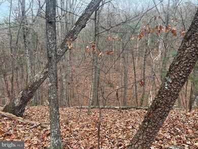 0 Brawley unit VASH2007464, Basye, VA 22810 - photo 3