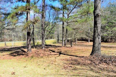 1080 Colvin - Kennedy Rd, Lincolnton, GA 30817 - photo 7