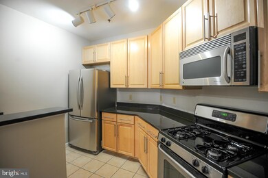 Silverton Condominiums, Silver Spring, MD 20910 - photo 7