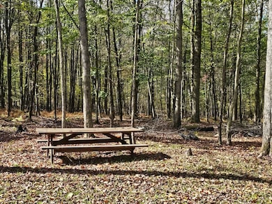 5175 Pennsylvania 36, Leeper, PA 16233 - photo 5