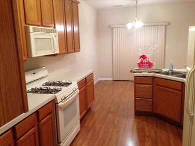 1112 Seberger Way, Dyer, IN 46311 - photo 6