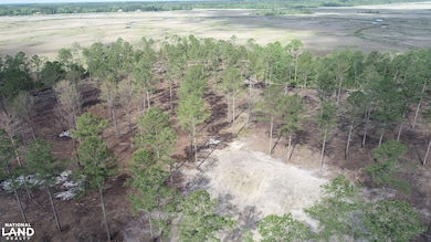 3009 Horse Stamp Church Rd, Waverly, GA 31565 - photo 6