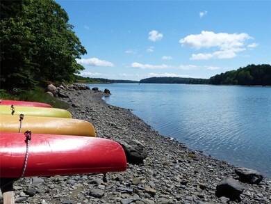 The perfect protect cove for...