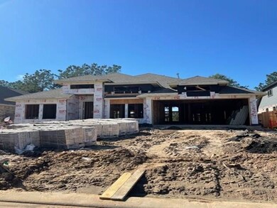 17554 Sunset Skies Rd, Conroe, TX 77302 - photo 2