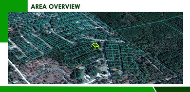 Moon Mist Ct, Trinity, TX 75862 - photo 5